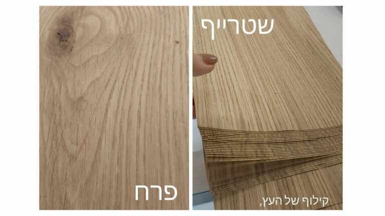 שטרייף ופרח בפורניר